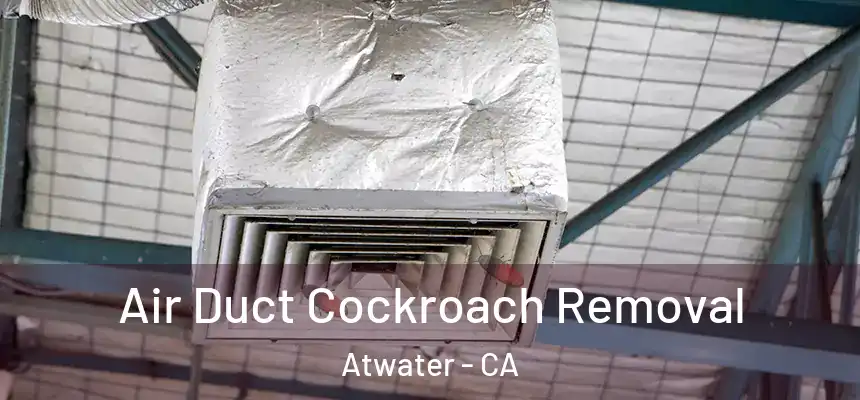  Air Duct Cockroach Removal Atwater - CA