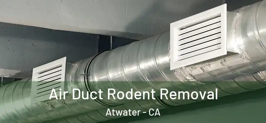  Air Duct Rodent Removal Atwater - CA