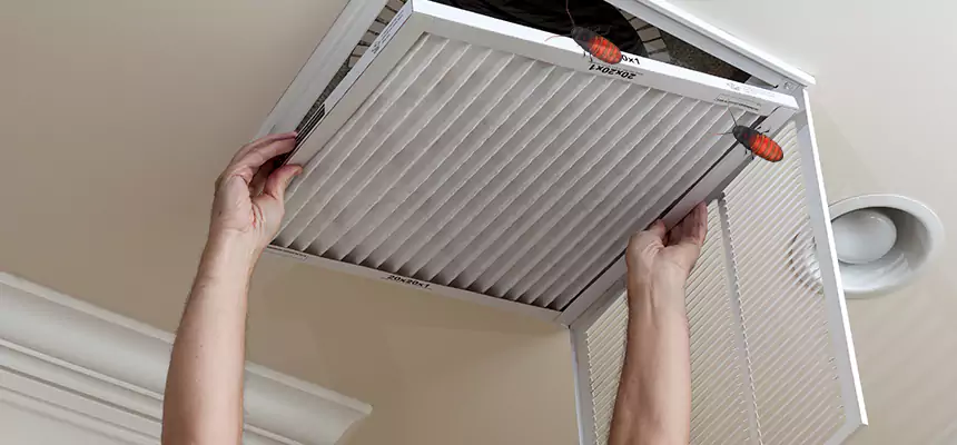 Preventive Cockroach-Proofing for Ducts in Atwater