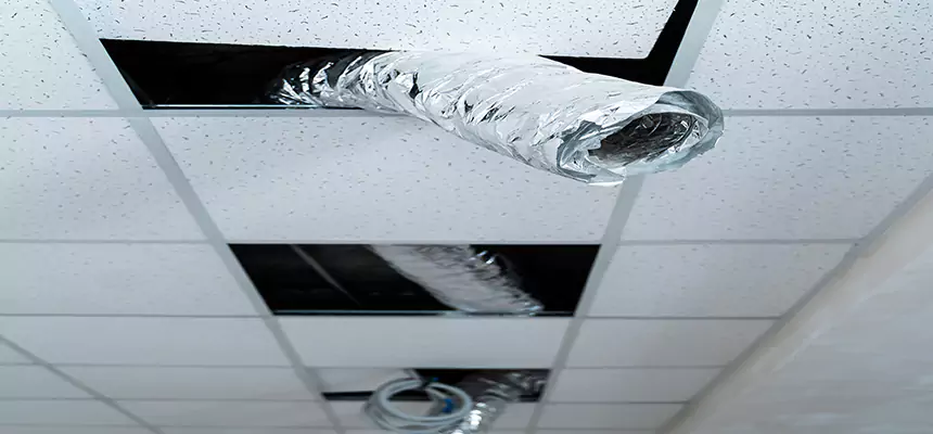 Our Air Duct Pet Hair Removal Services in Atwater, CA