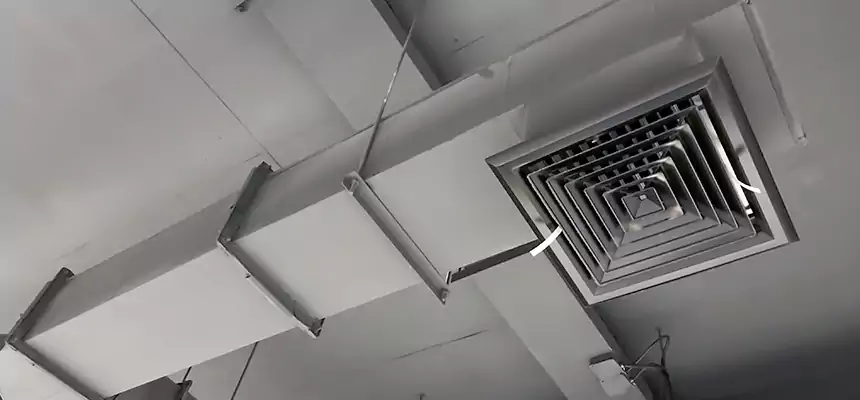 Our Rodent Droppings In Vents Services in Atwater, CA