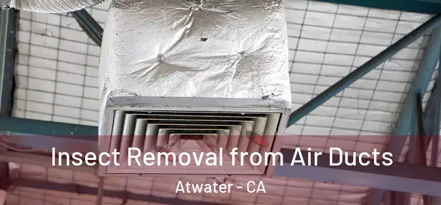 Insect Removal from Air Ducts Atwater - CA