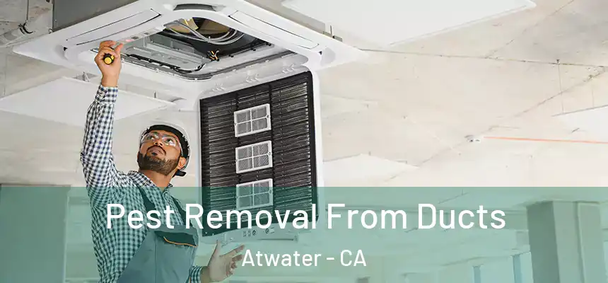  Pest Removal From Ducts Atwater - CA