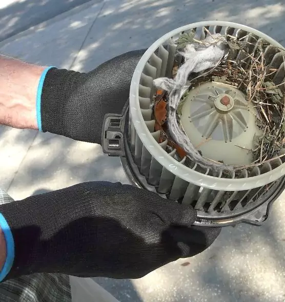 About Air Duct Mice Removal in Atwater, CA